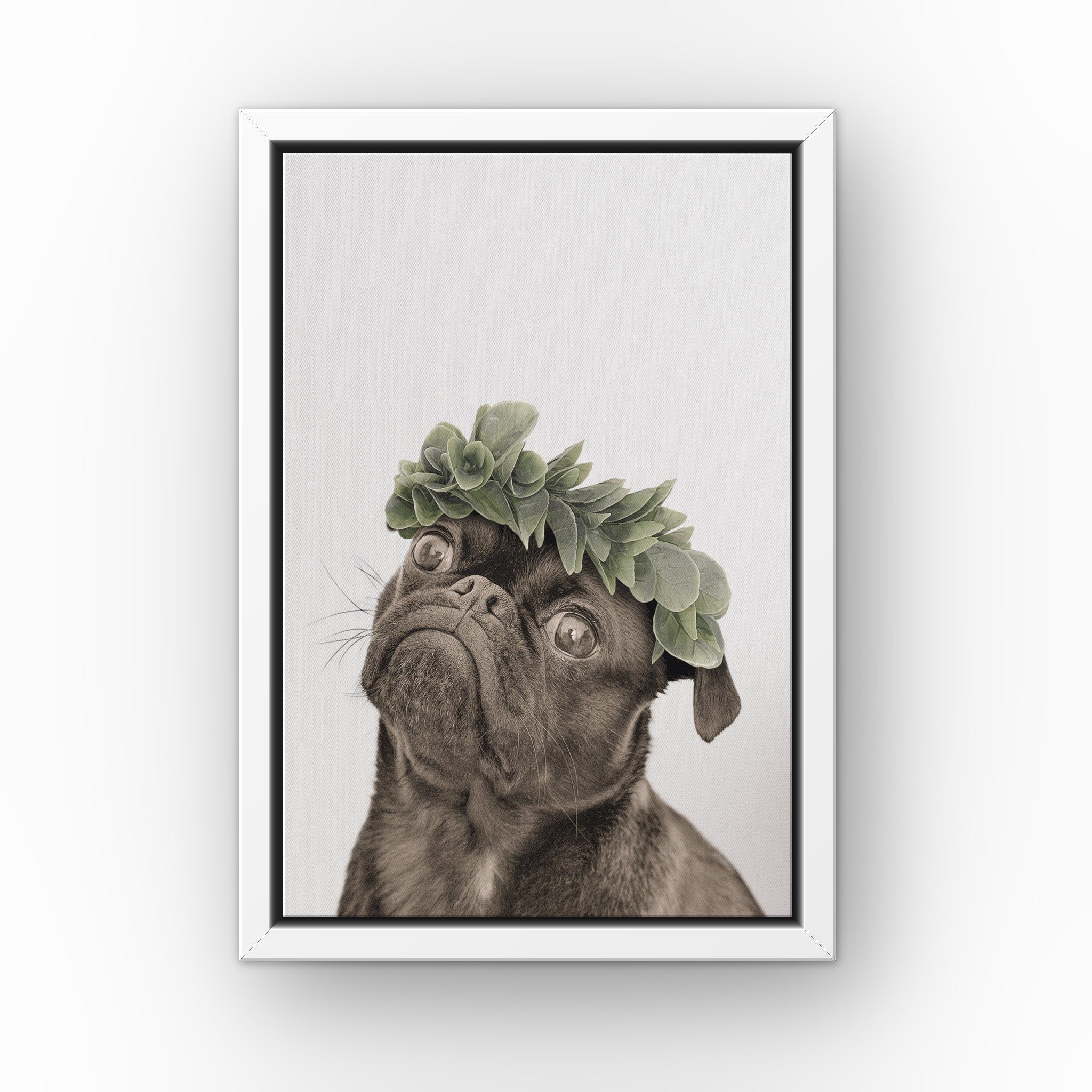 Roman Crown Pet Portrait (white) custom pet canvas in a white floating frame