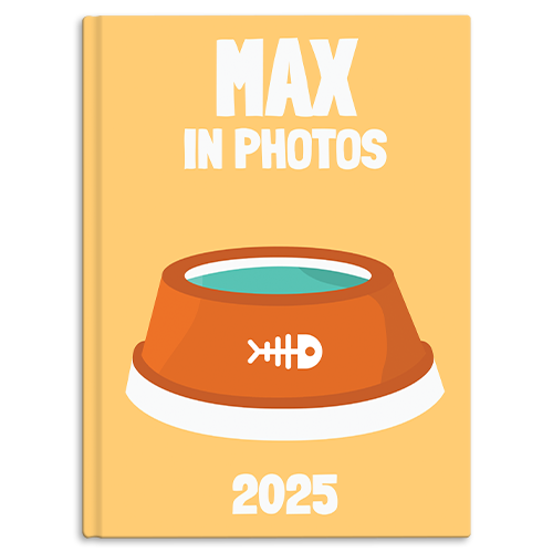 Other - Cat Food Bowl