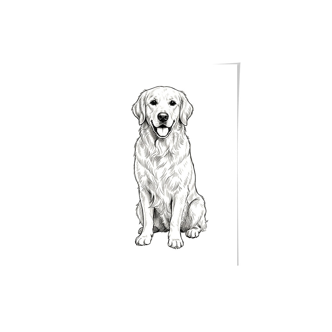 Sketched Portrait