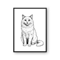 Sketched Portrait