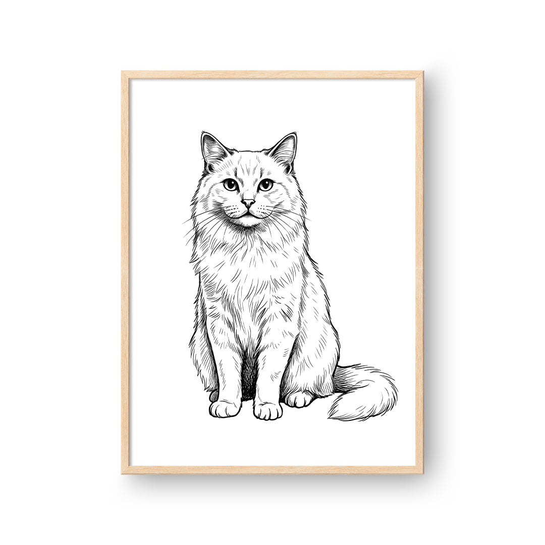 Sketched Portrait