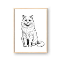 Sketched Portrait