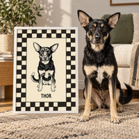 Checkered Pet Portrait