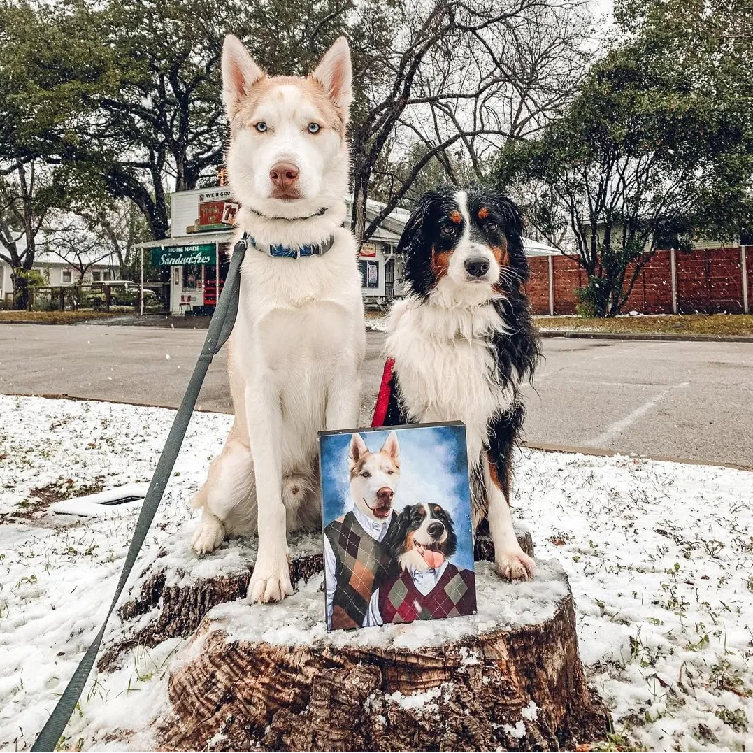 Step Brothers - Custom Pet Canvas