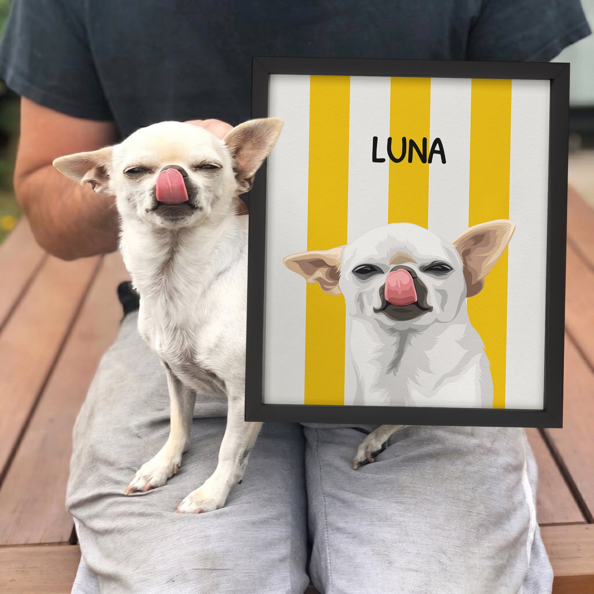 Striped Candy Pet Portrait