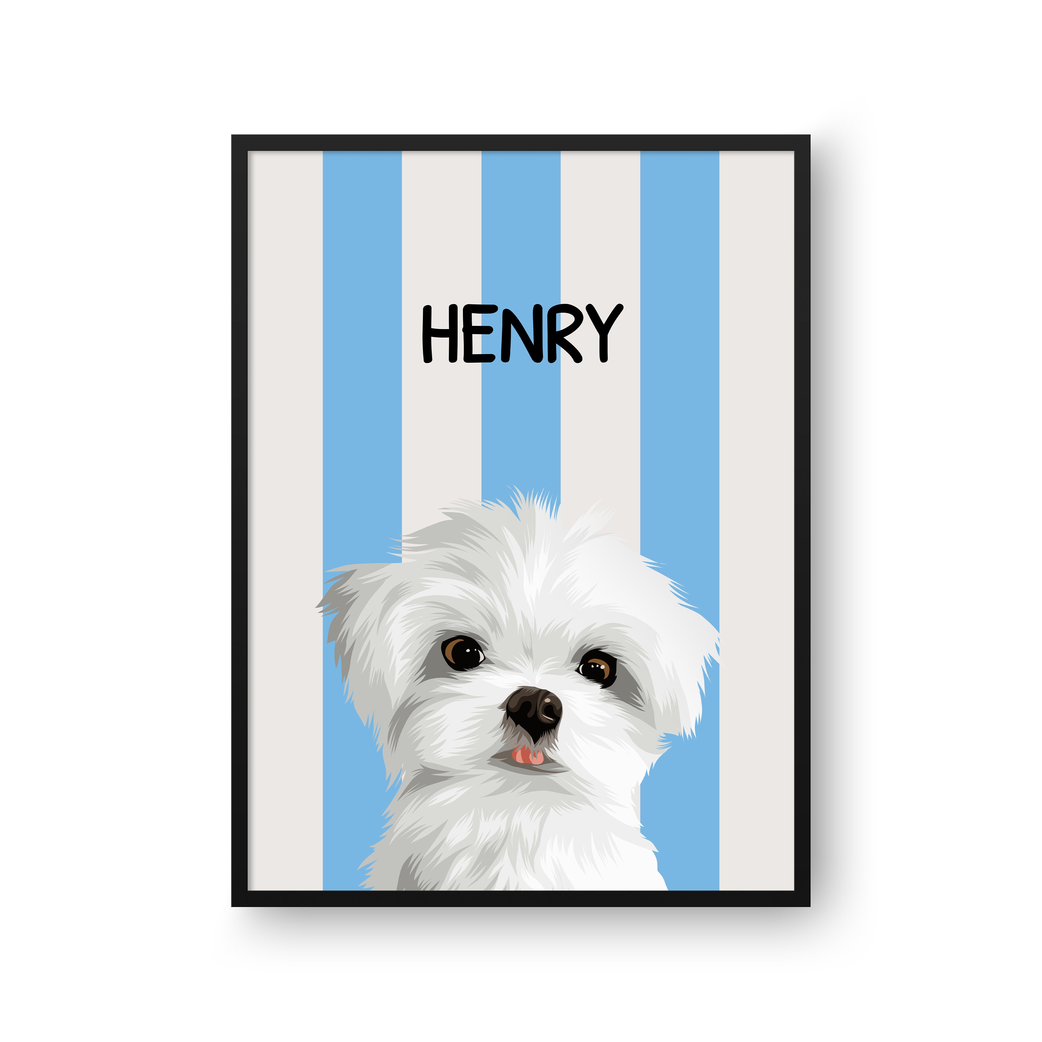 Striped Candy Pet Portrait