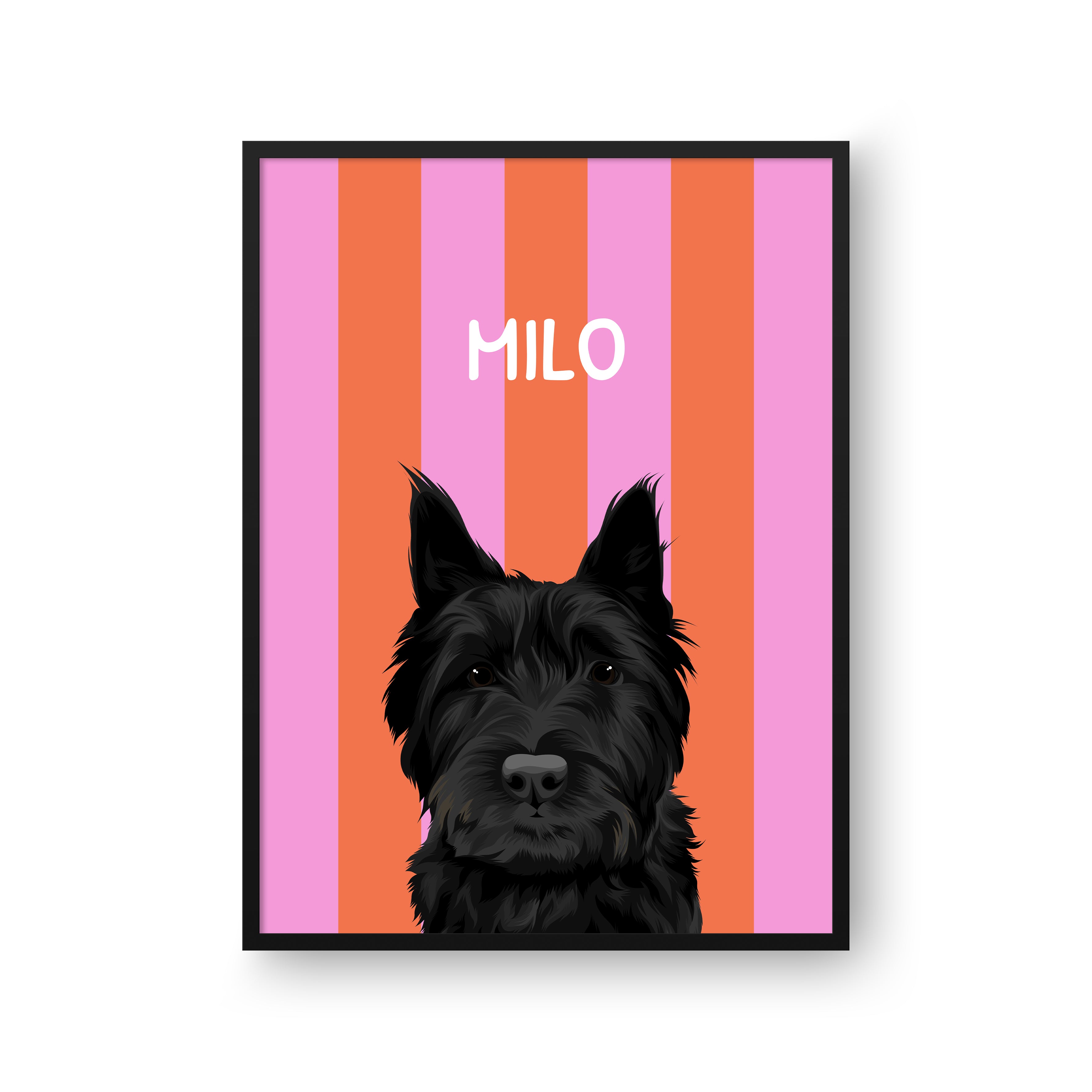 Striped Candy Pet Portrait