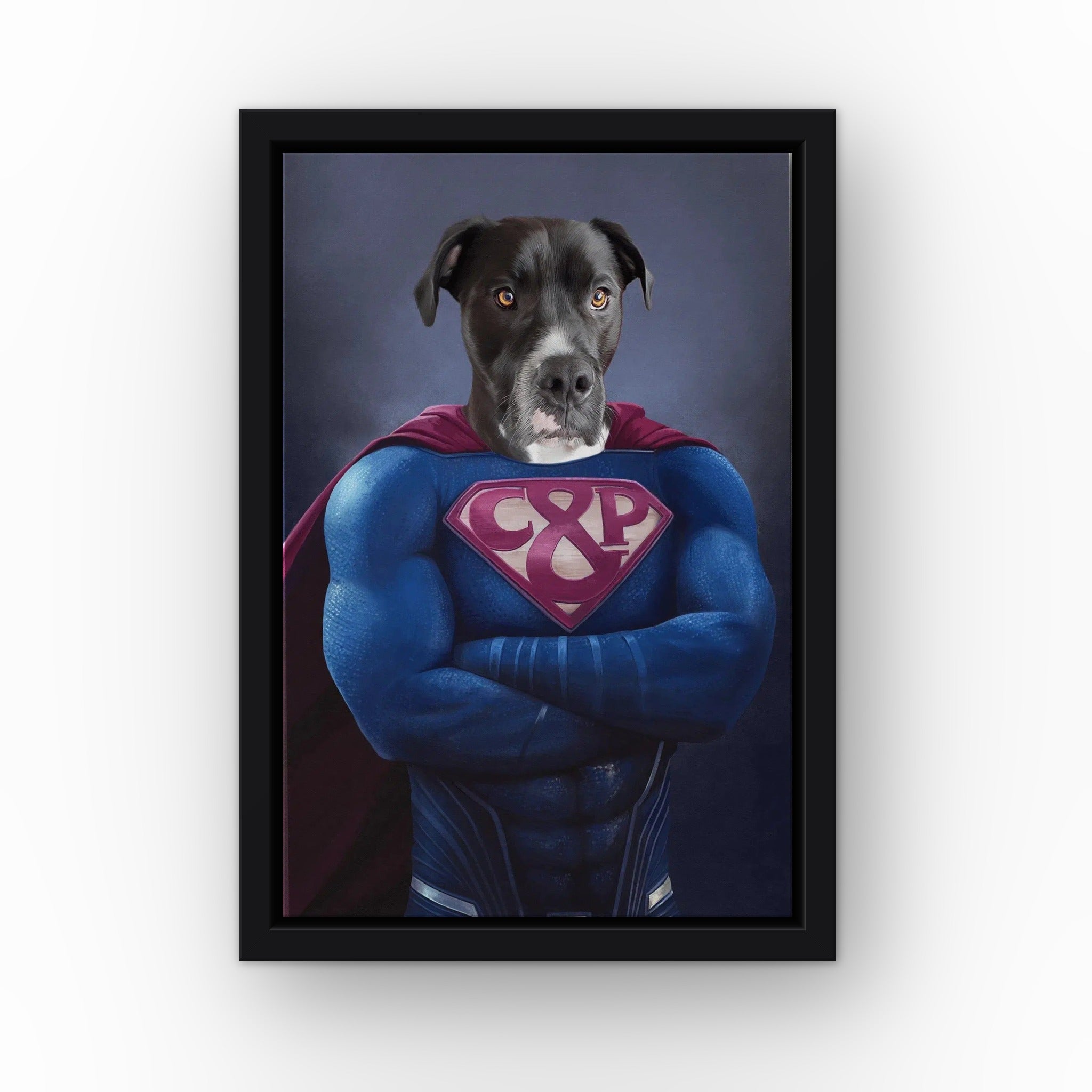 Supawman custom pet canvas in a black floating frame