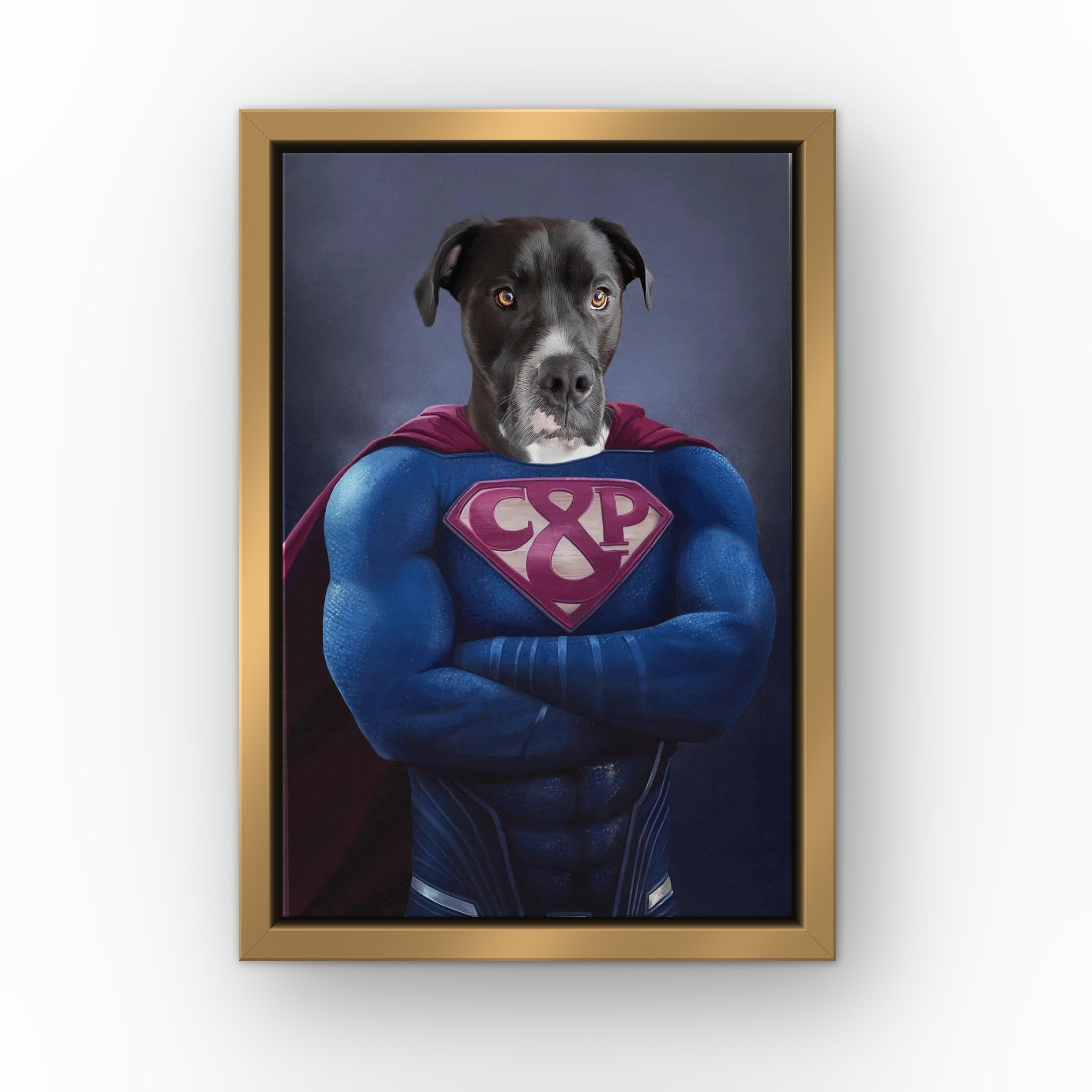 Supawman custom pet canvas in a gold floating frame