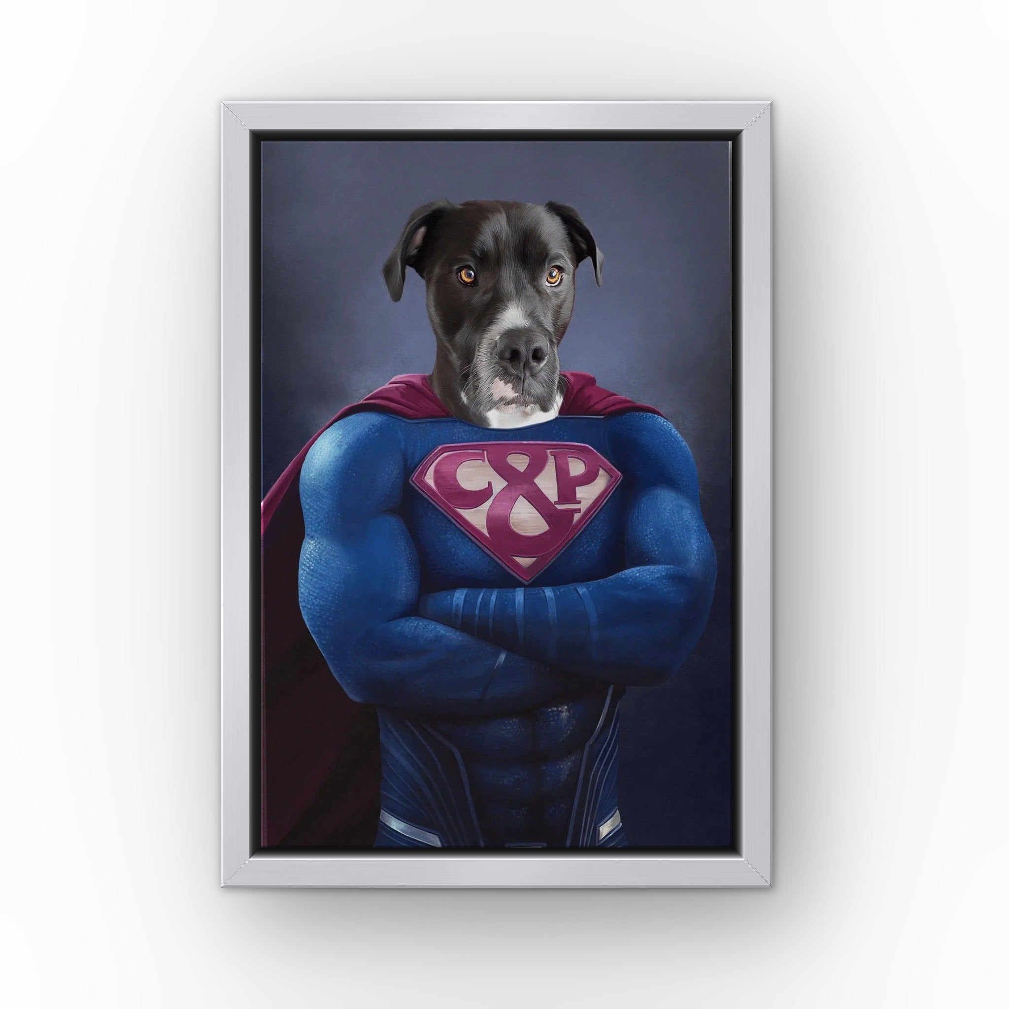 Supawman custom pet canvas in a silver floating frame