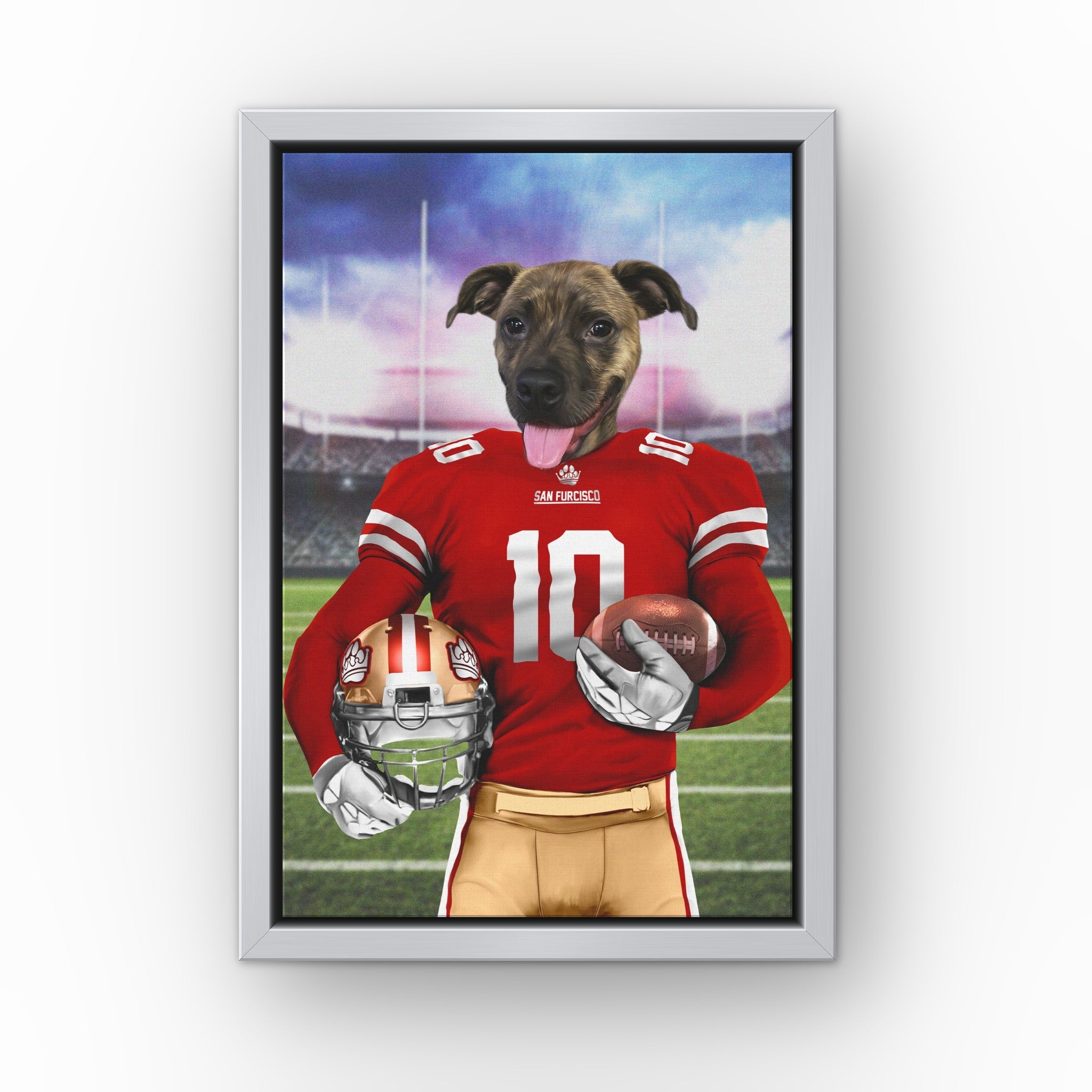 The Pawty Niners custom pet canvas in a silver floating frame