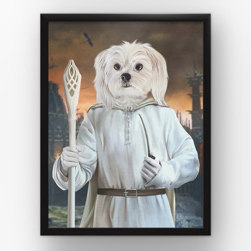 The Sorcerer (background 4) custom pet poster in a black frame