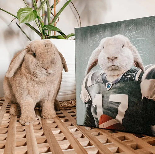 The Football Player - Custom Pet Canvas
