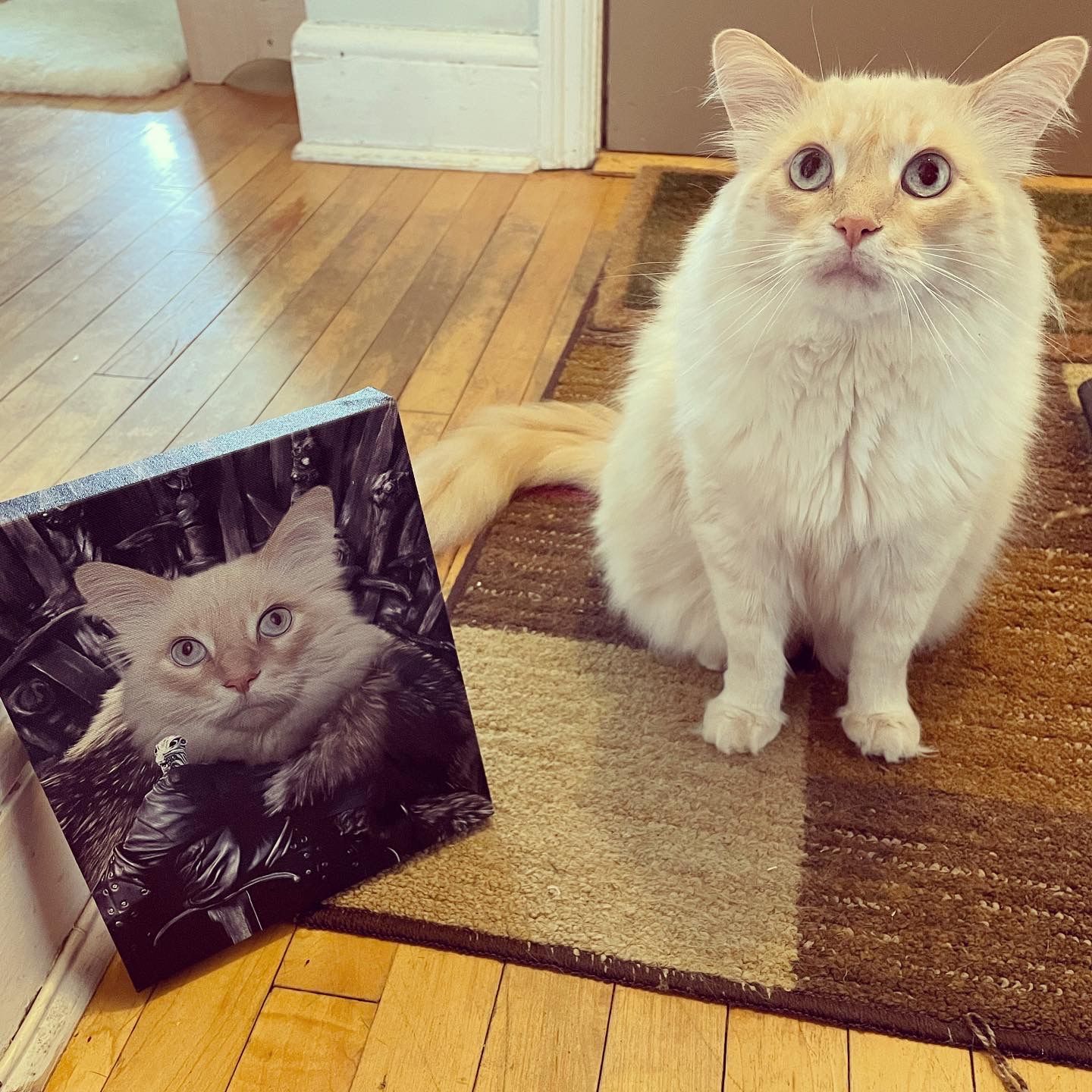 The King in the North - Custom Pet Canvas