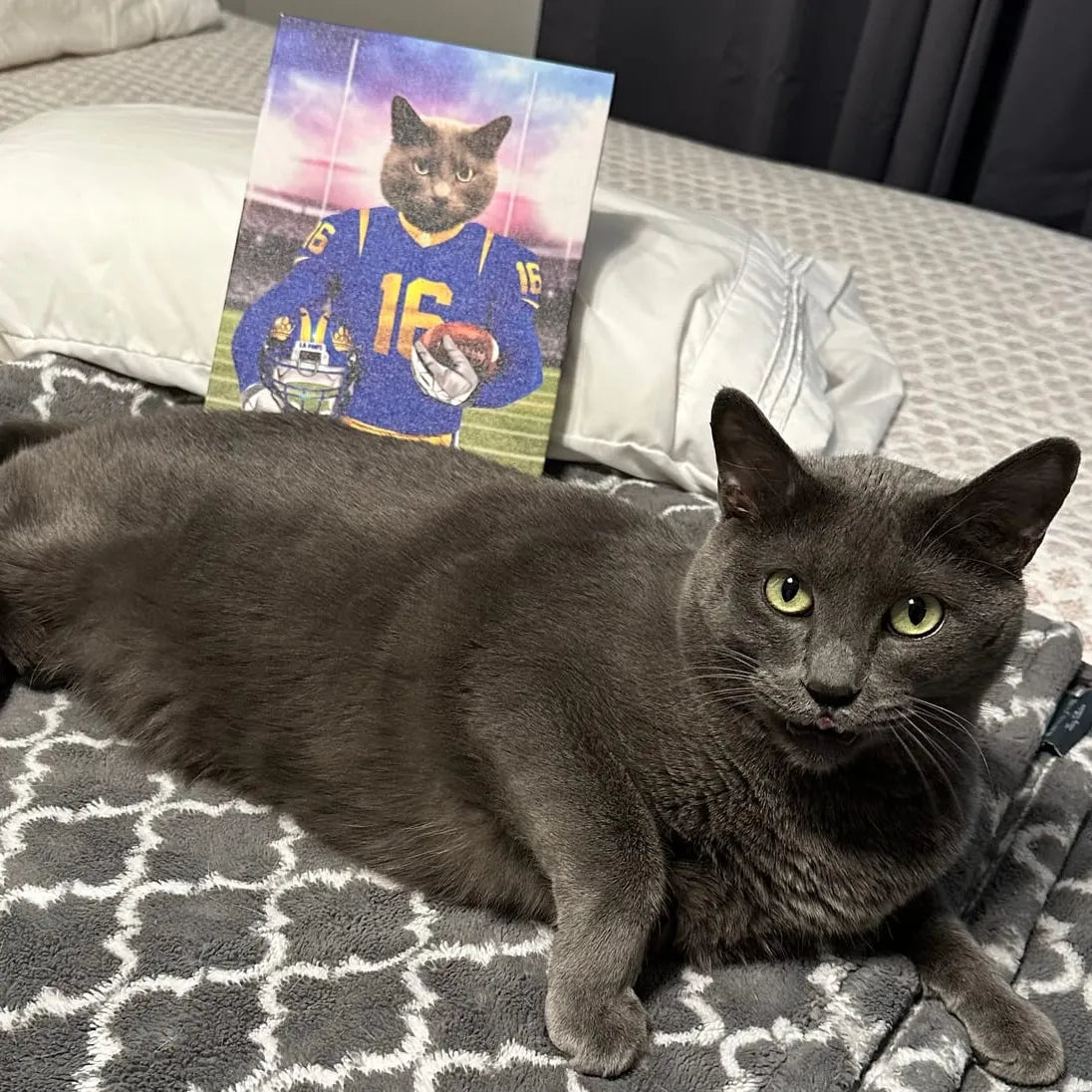 The LA Paws - Custom Pet Canvas