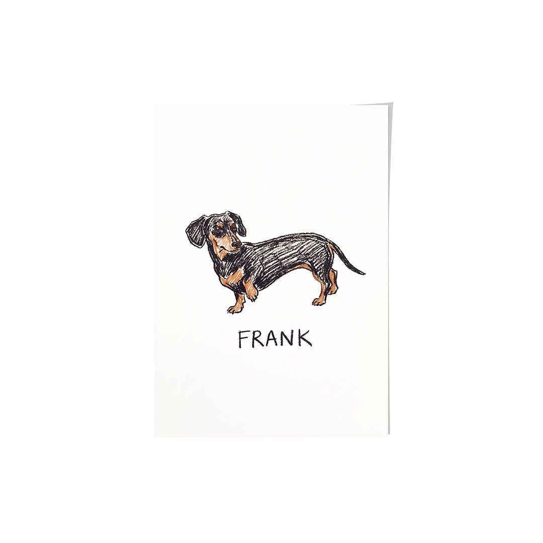 Crayon Doodle Pet Portrait