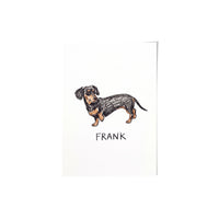 Crayon Doodle Pet Portrait