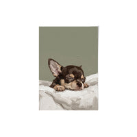 Sleeping Pet Portrait