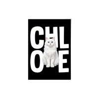 Contemporary Pet Portrait