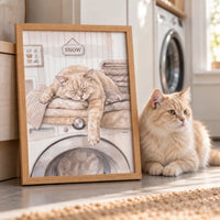 Washing Machine Pet Portrait