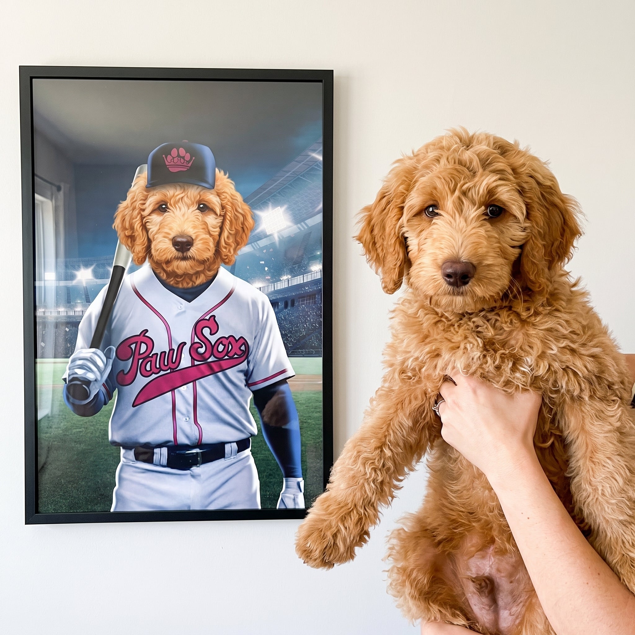 Goldendoodle next to its Boston Paw Sox custom pet poster