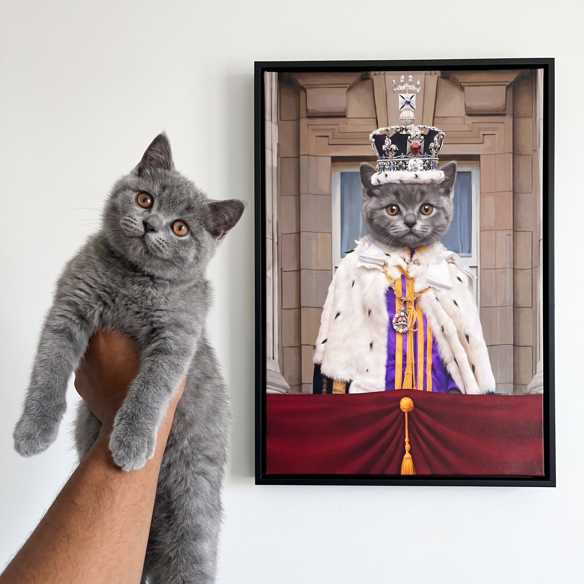 Grey british shorthair cat next to its King's Coronation custom pet canvas
