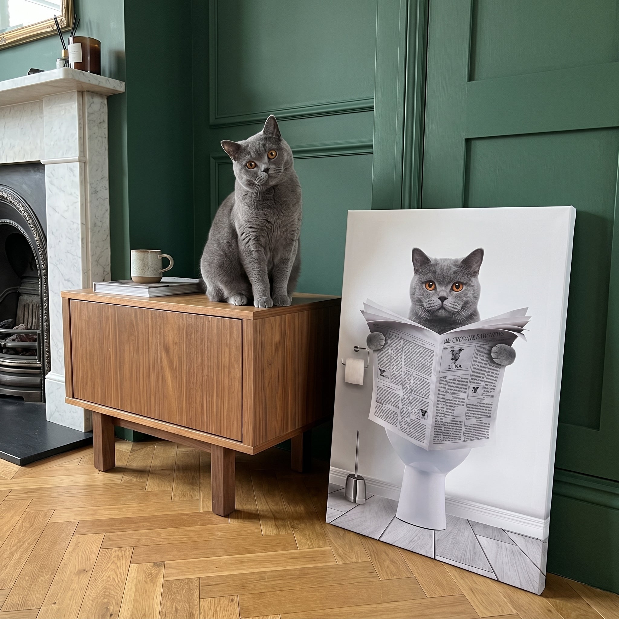 Grey british shorthair cat next to its Restroom Pet Portrait