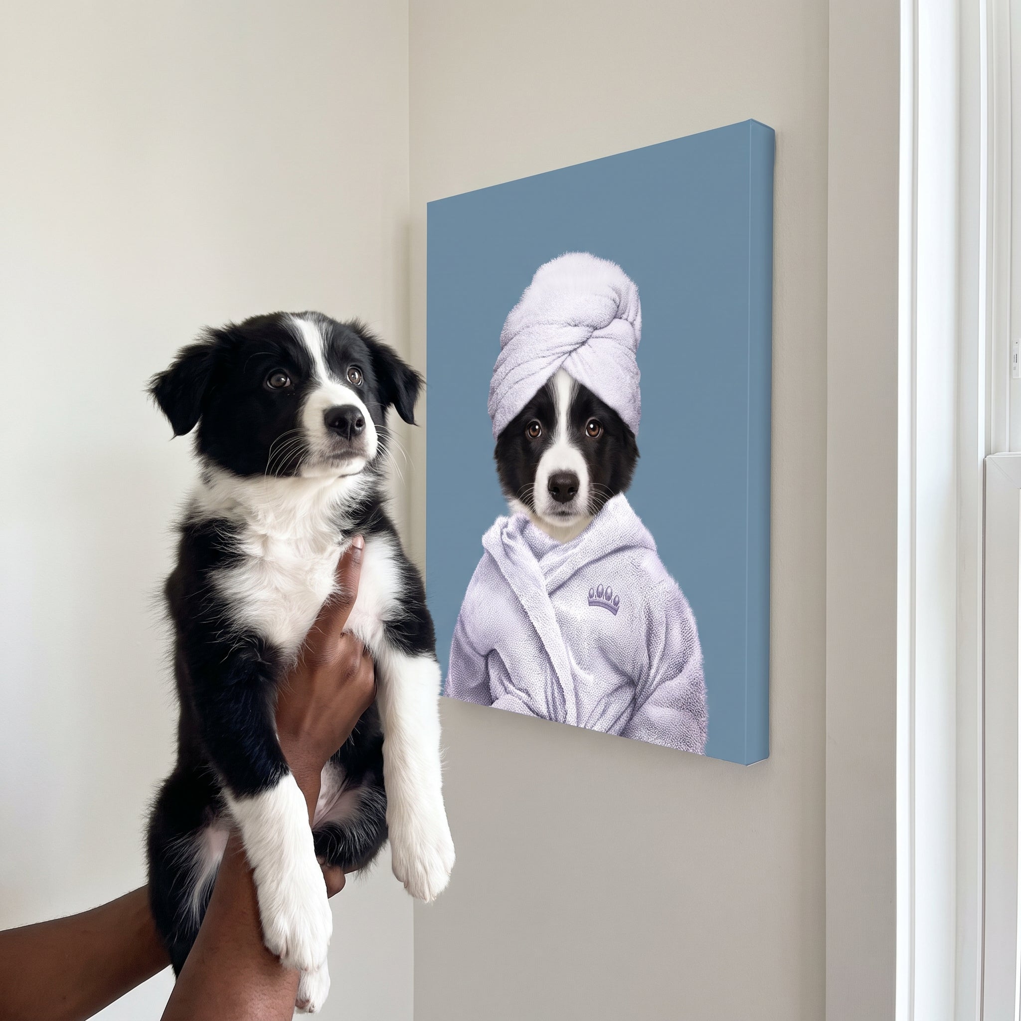Border collie next to its Spa Day Pet Portrait