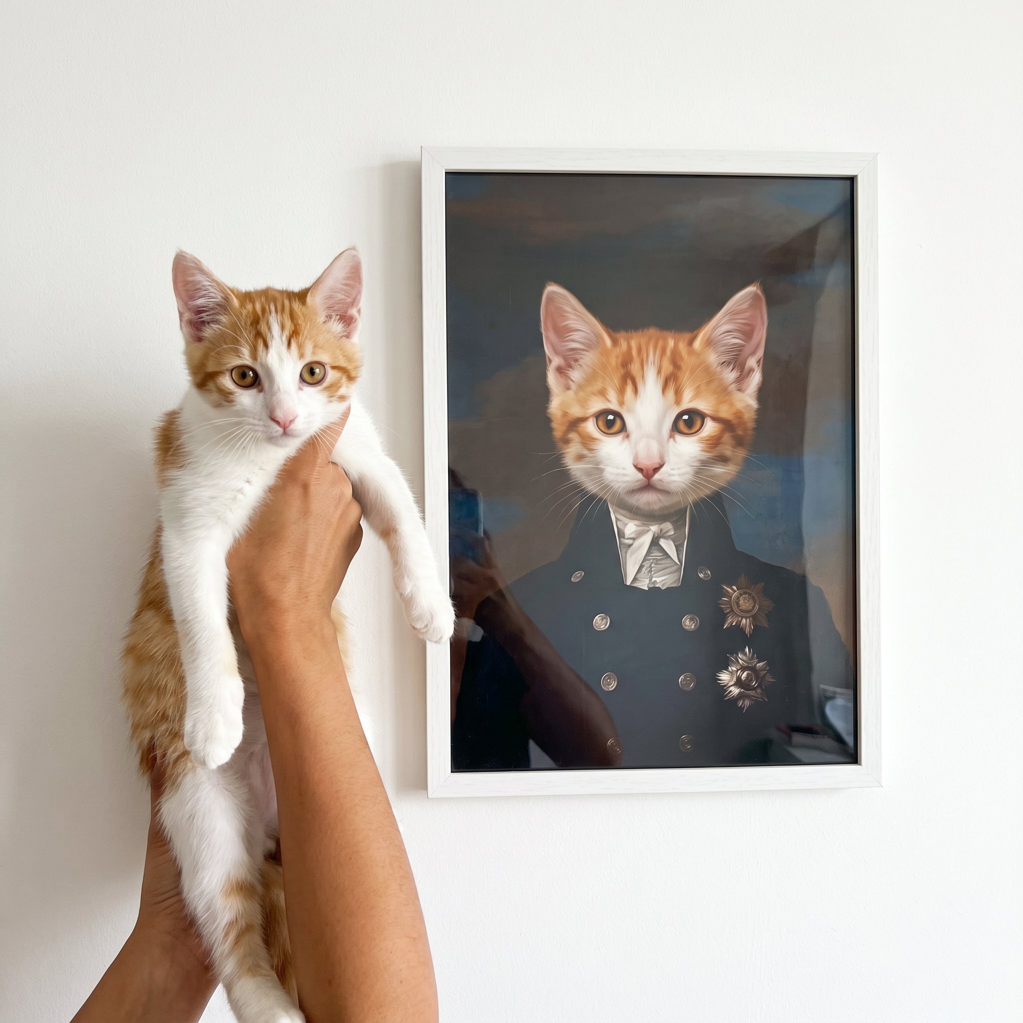 Ginger and white cat next to its The Captain custom pet poster