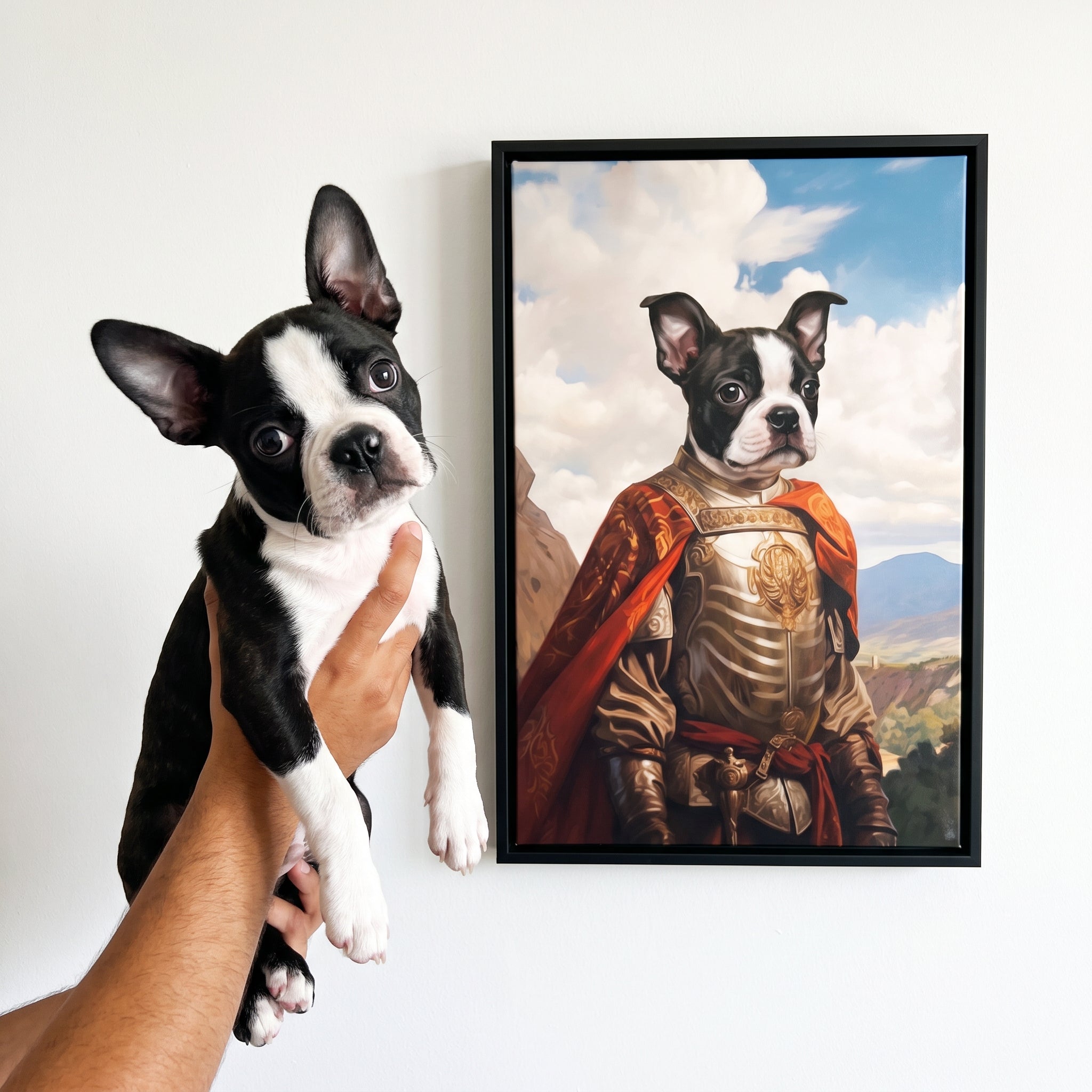 Boston terrier next to its The Conquistador custom pet canvas