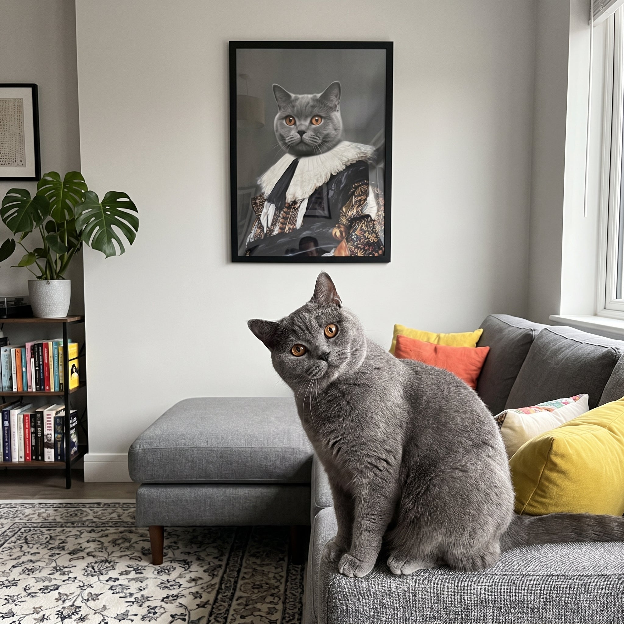 Grey British shorthair cat next to its The Laughing Cavalier custom pet poster