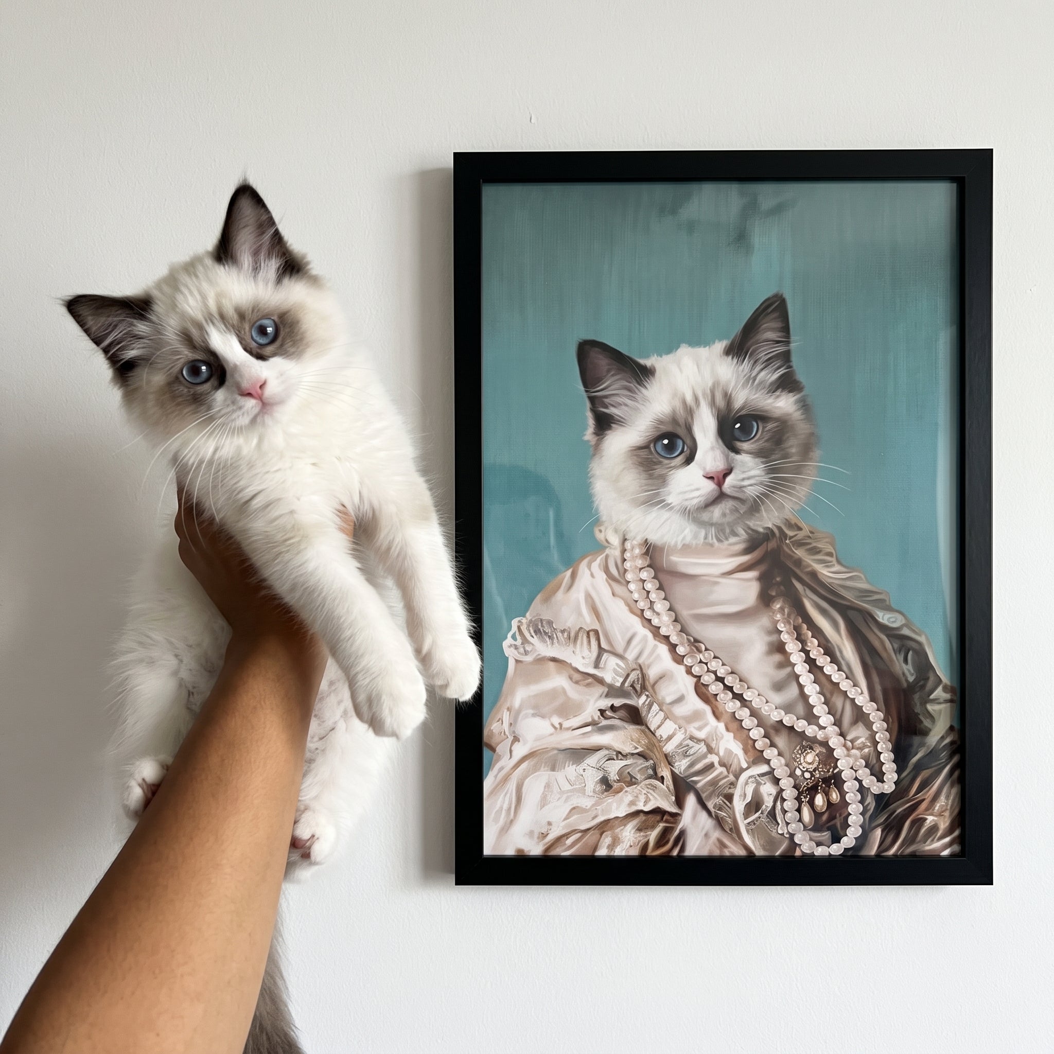 White ragdoll cat next to its The Queen Regent custom pet poster