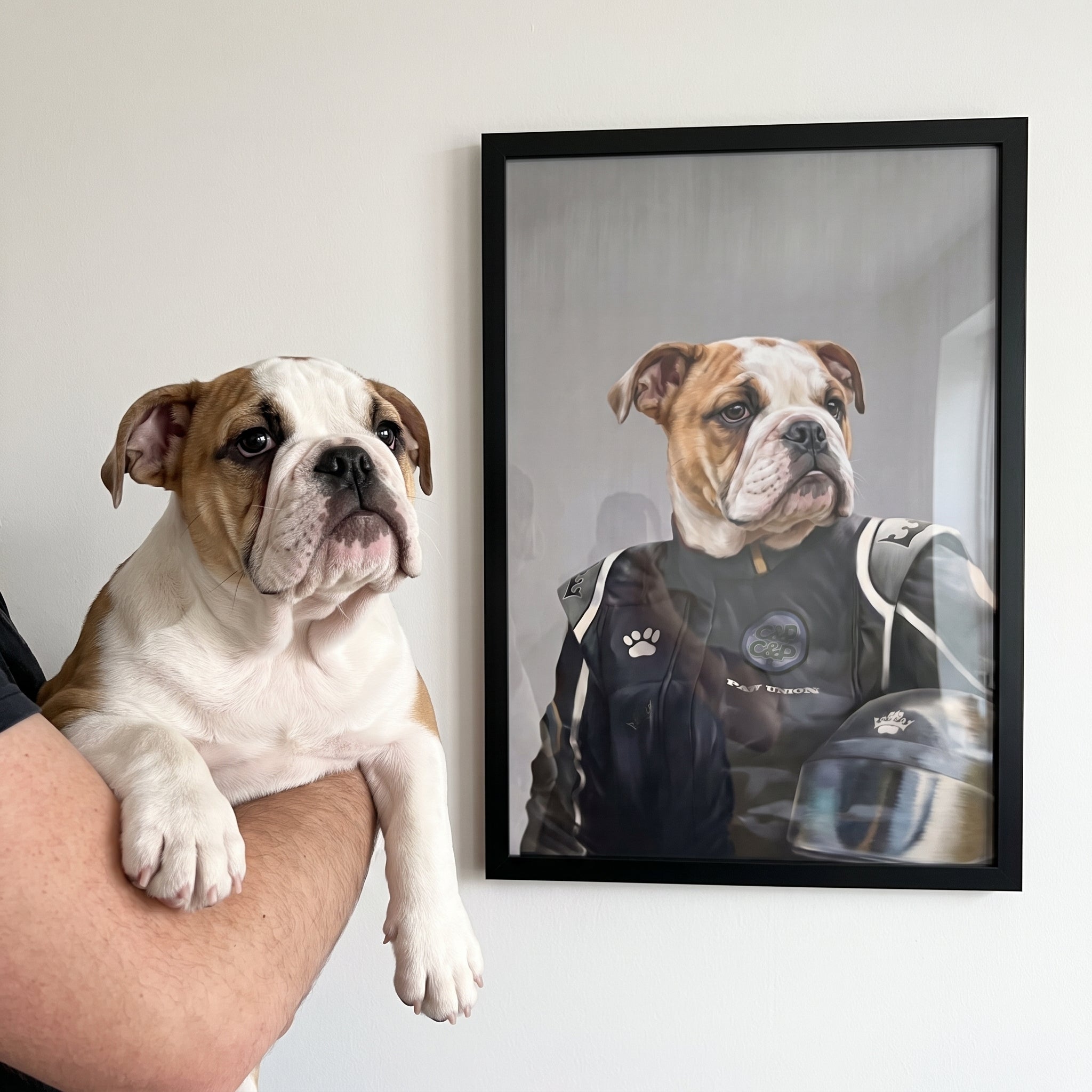 Bulldog next to its The Race Car Driver custom pet poster