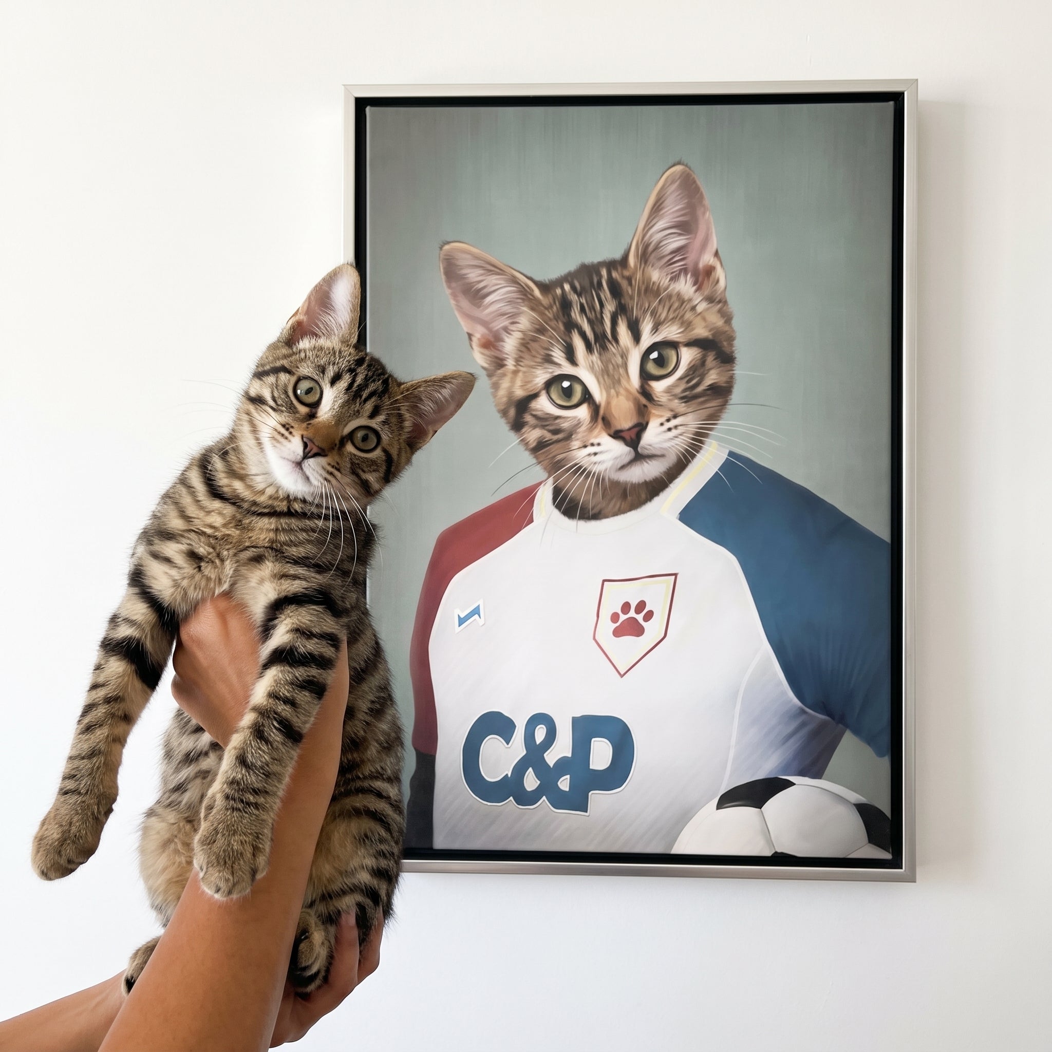 Brown tabby cat next to its The Soccer Player custom pet canvas