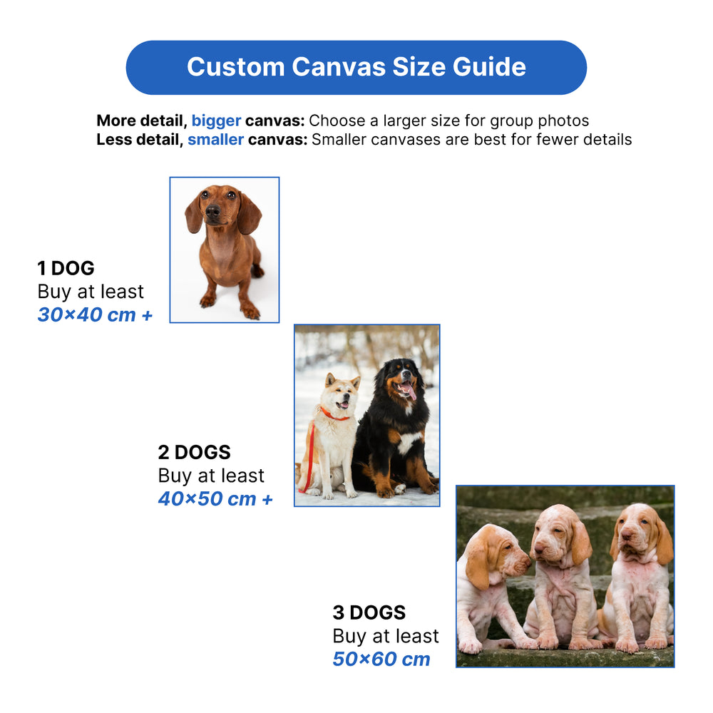 Good photo examples
