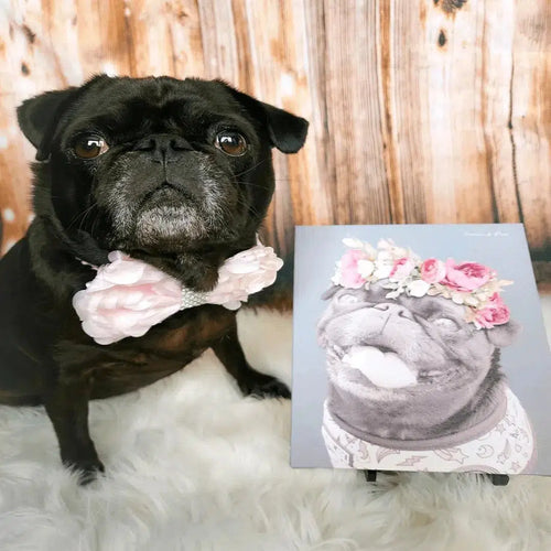 Crown and Paw - Canvas Floral Crown Pet Portrait - Custom Canvas