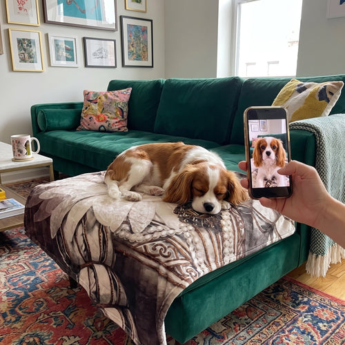Cavalier King Charles spaniel with The Queen custom pet blanket: pet + phone + blanket