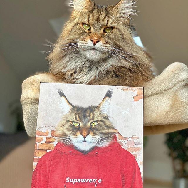 Crown and Paw - Canvas The Hypebeast - Custom Pet Canvas