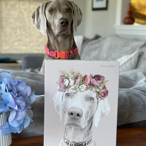 Crown and Paw - Canvas Floral Crown Pet Portrait - Custom Canvas