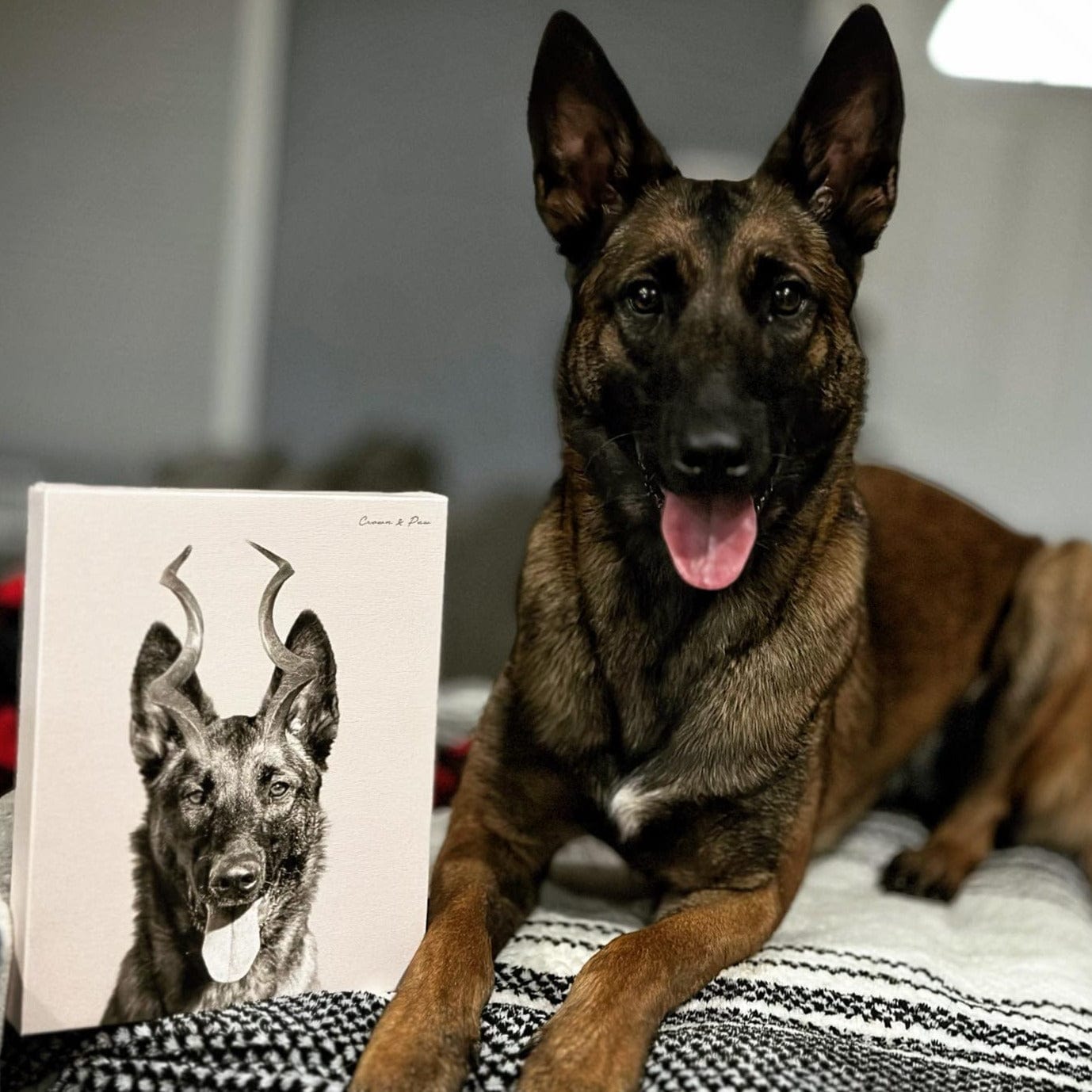 Crown and Paw - Canvas Gazelle Antlers Pet Portrait - Custom Canvas