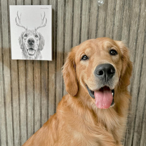 Crown and Paw - Canvas Elk Antlers Pet Portrait - Custom Canvas