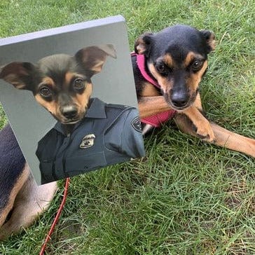 Crown and Paw - Canvas The Female Police Officer - Custom Pet Canvas