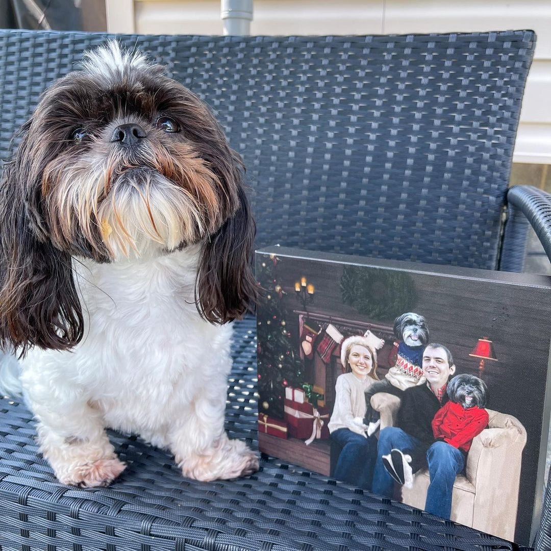 Crown and Paw - Canvas The Family Christmas (Four Pets) - Custom Pet Canvas