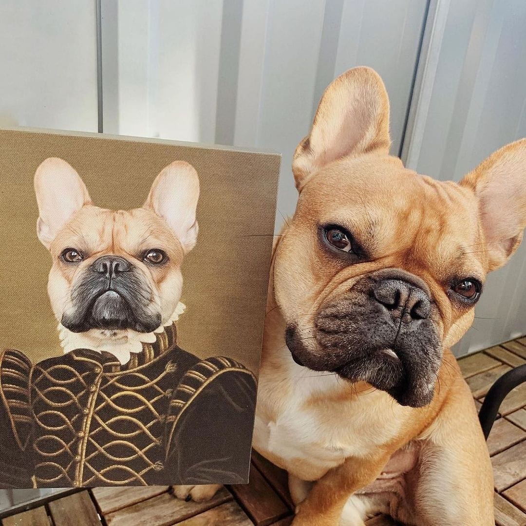 Crown and Paw - Canvas The Noble - Custom Pet Canvas 8" x 10" / Unframed