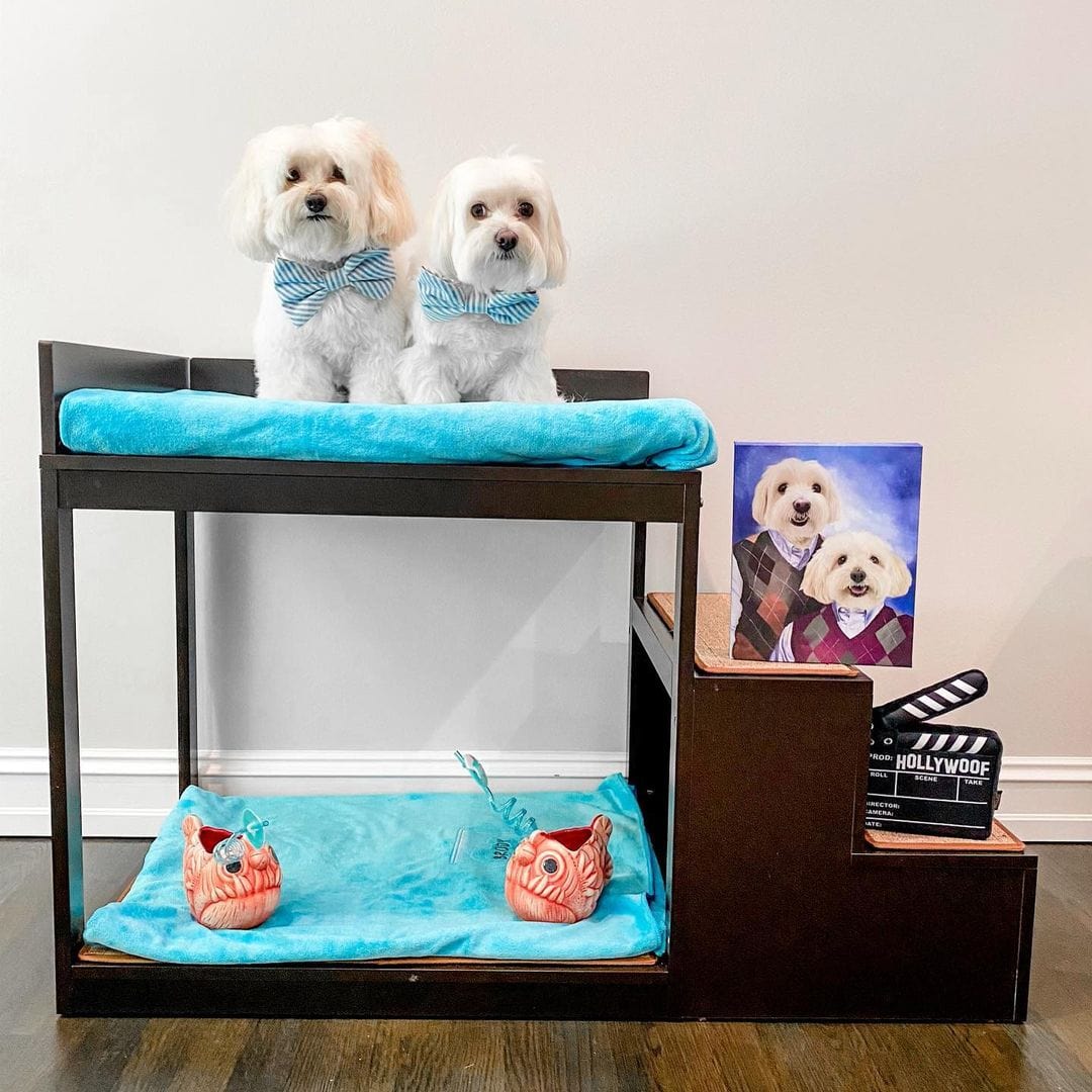 Crown and Paw - Canvas Step Brothers - Custom Pet Canvas