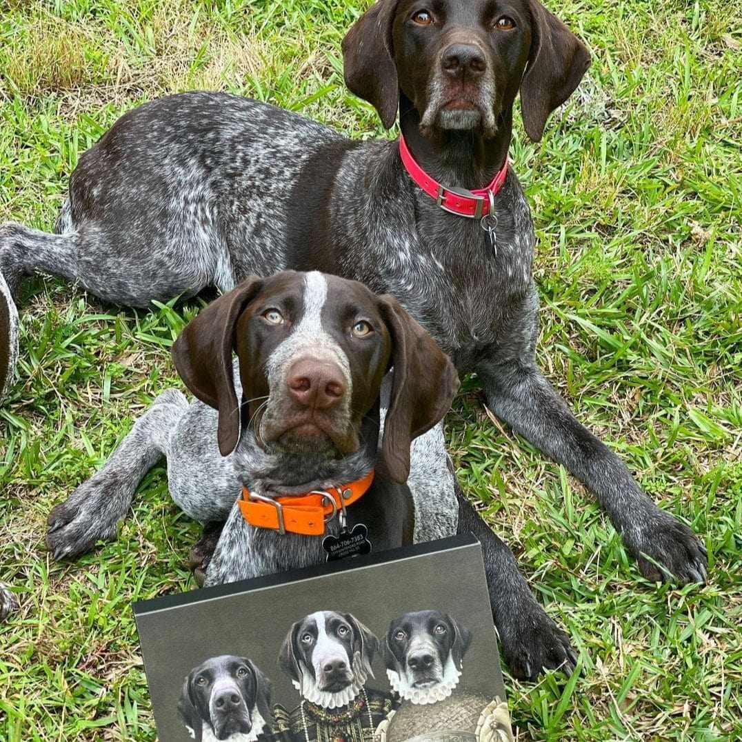 Crown and Paw - Canvas The Three Queens - Custom Pet Canvas