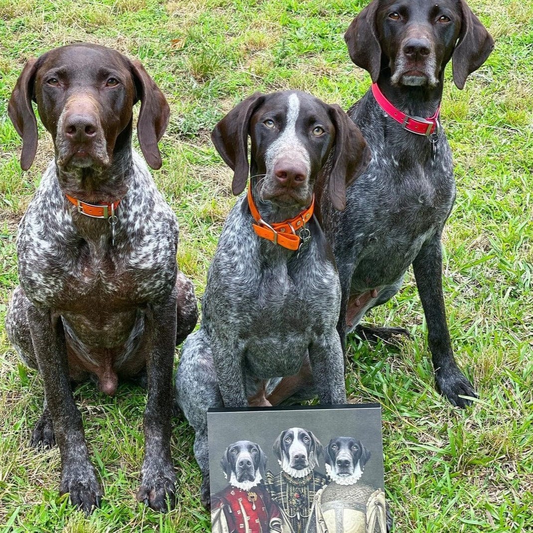 Crown and Paw - Canvas The Three Queens - Custom Pet Canvas