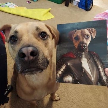 Crown and Paw - Canvas The Royal Knight - Custom Pet Canvas