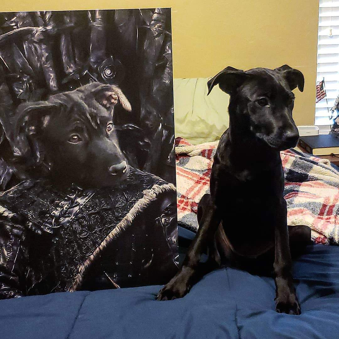 Crown and Paw - Canvas The Lone Wolf - Custom Pet Canvas