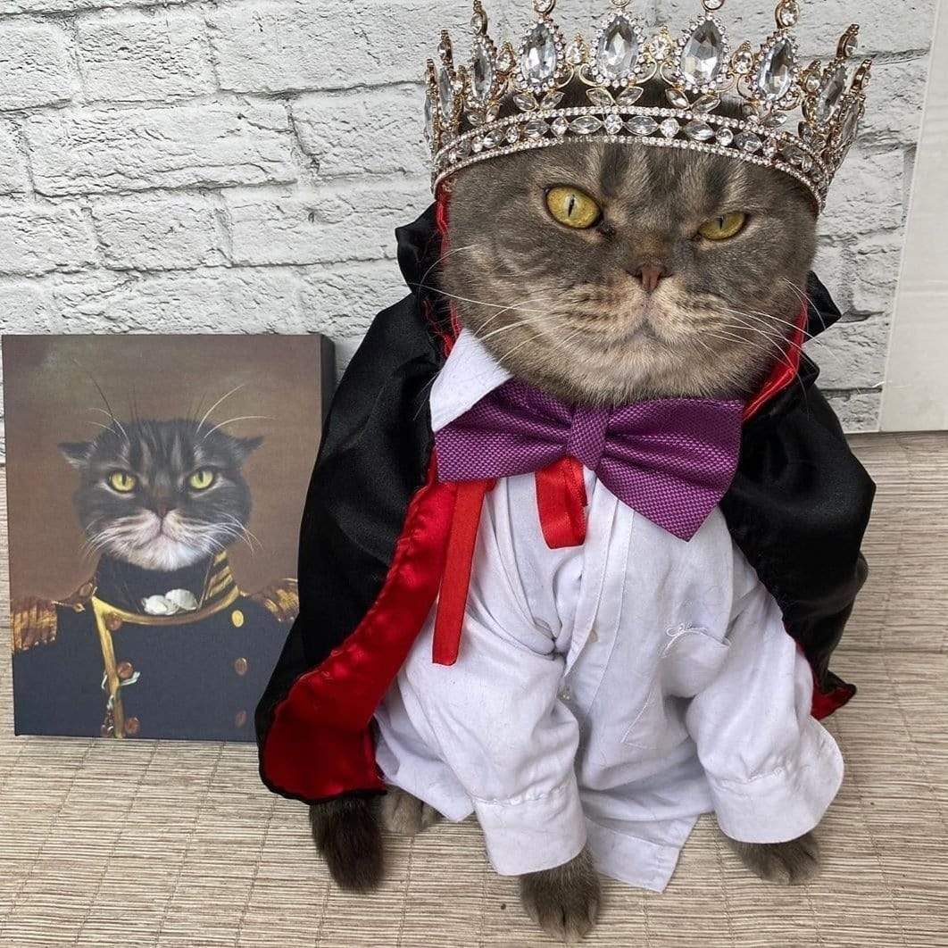 Crown and Paw - Canvas The Admiral - Custom Pet Canvas